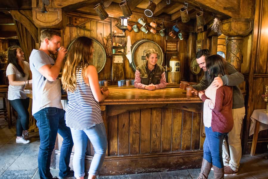 Auckland: Hobbiton Movie Set Tour with Lunch - Who should book this Hobbiton day trip