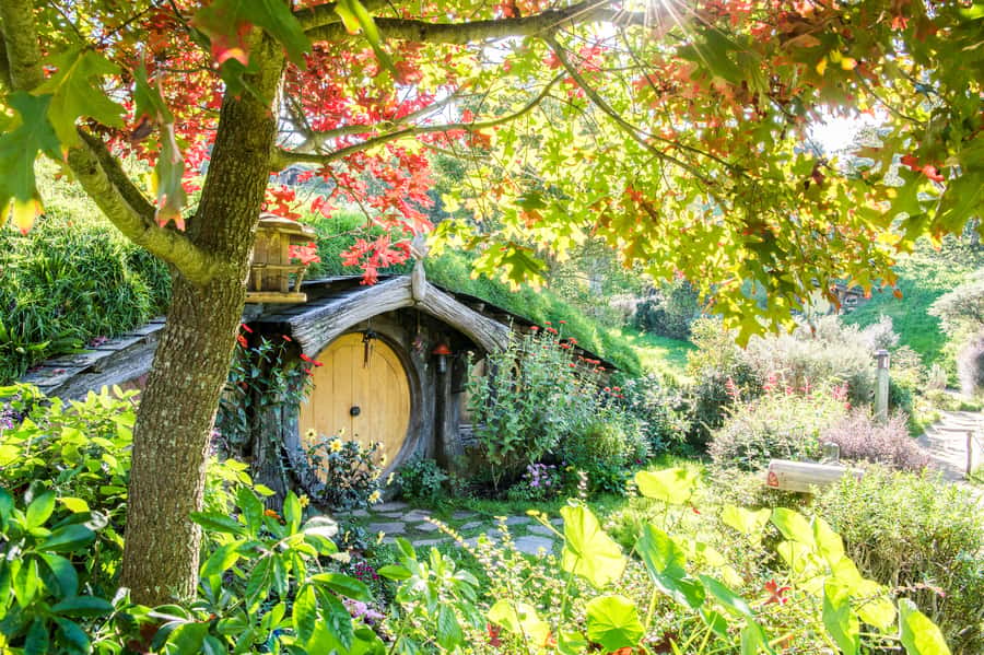 Auckland: Hobbiton Movie Set Tour with Lunch - Arriving at Shire’s Rest