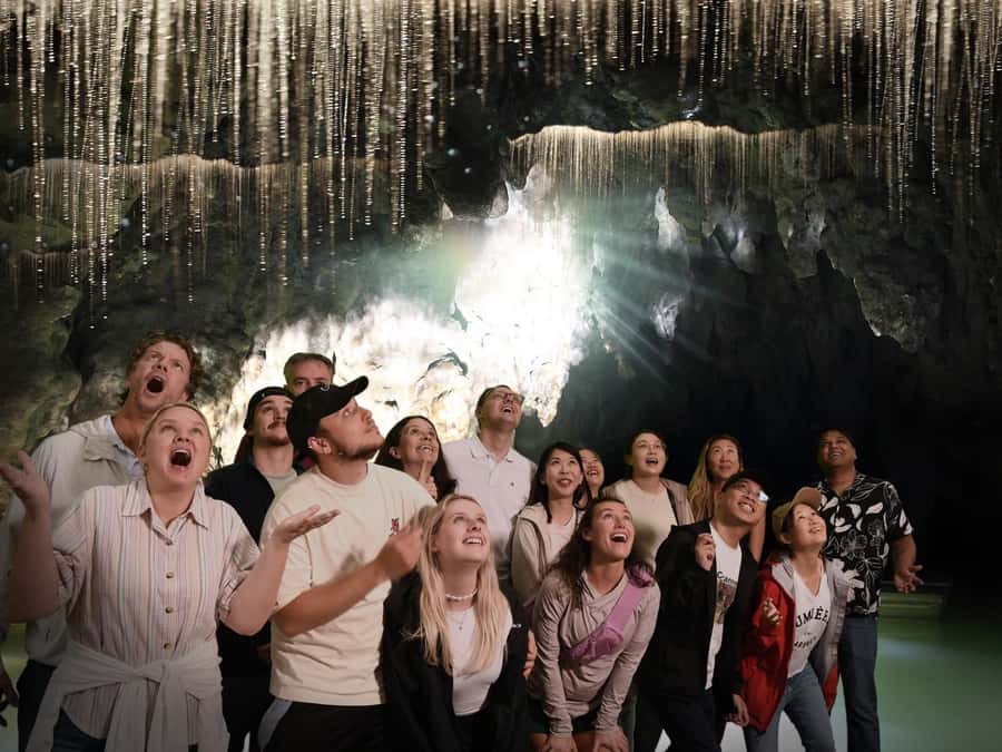 Auckland: Hobbiton & Waitomo Caves Small-Group Tour & Lunch - Is $226 a fair price?