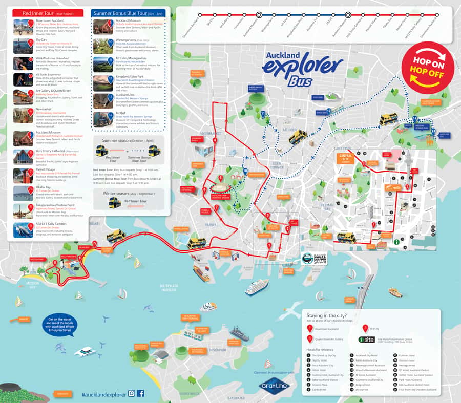 Auckland: Hop-On Hop-Off Explorer Bus Ticket - How to plan one useful day