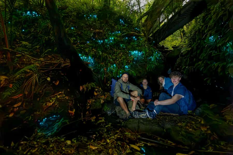 Auckland: Inner-City Glowworm Experience in Ancient Volcano - Following the dark path into Auckland Domain