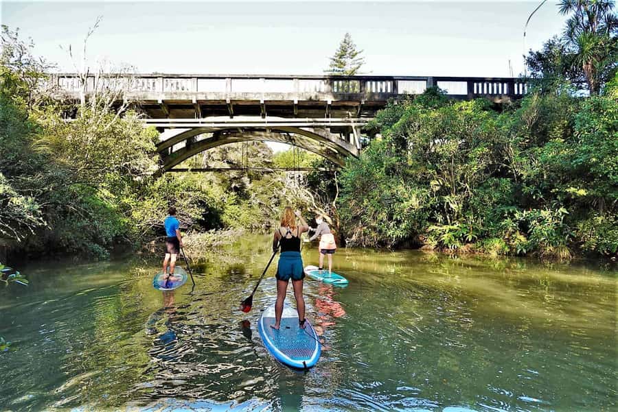 Auckland: Lucas Creek Waterfall SuP Tour - Why Lucas Creek makes a good SUP outing