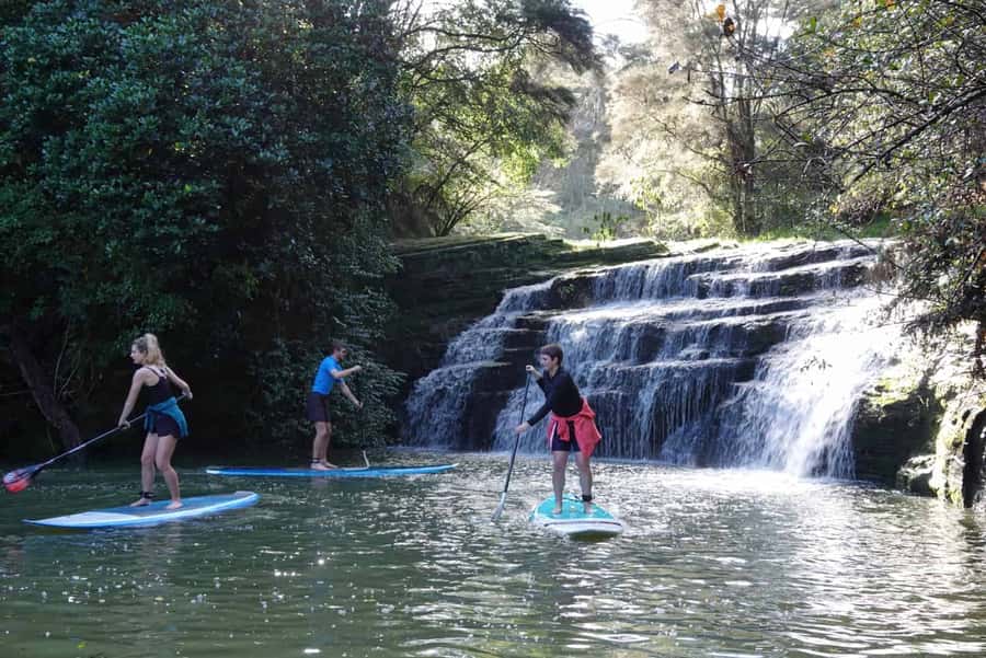 Auckland: Lucas Creek Waterfall SuP Tour - Paddling the first stretch of Lucas Creek