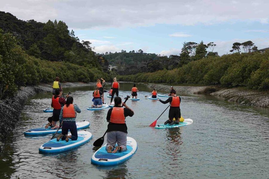 Auckland: Lucas Creek Waterfall SuP Tour - Reaching the Lucas Creek Waterfall
