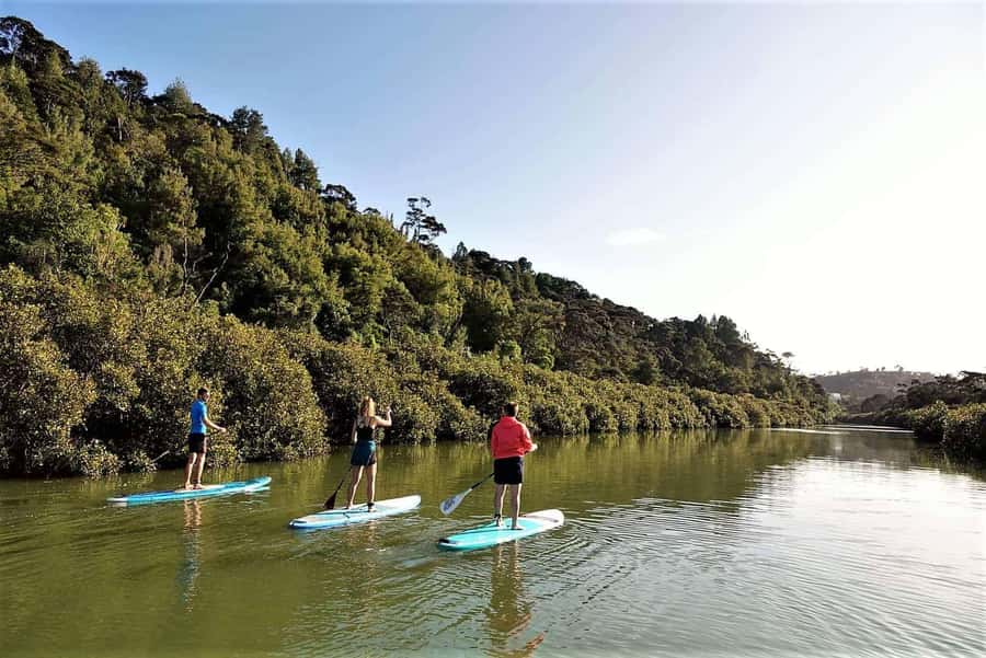 Auckland: Lucas Creek Waterfall SuP Tour - Meeting at Wharf Road and getting ready