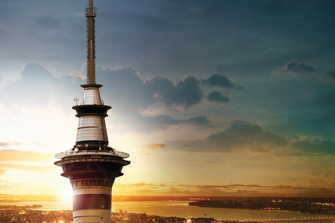 Auckland Māori Culture Experience - Private Tour - How the Schedule Feels in Practice