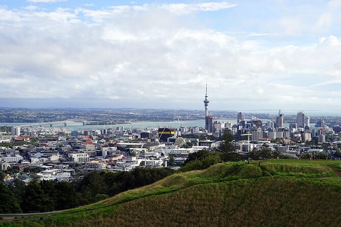Auckland Museum and Highlight Sightseeing Tour - What the small group changes