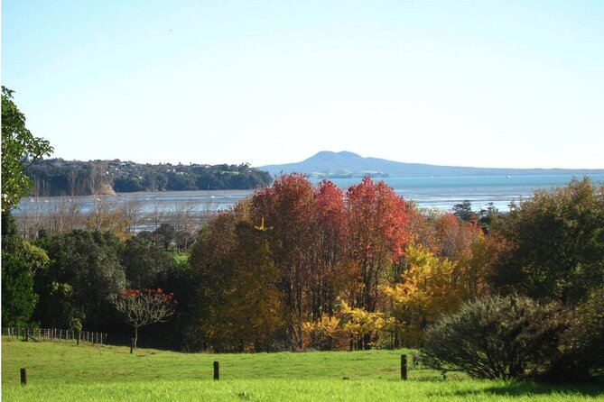 Auckland Nature Tour - Mount Eden: Auckland from a volcanic summit