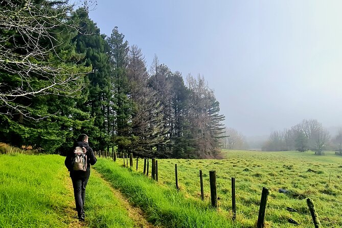 Auckland Nature Tour - What the $198.58 price really buys
