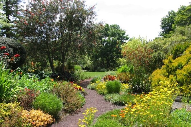 Auckland Nature Tour - Walking, weather, and practical preparation
