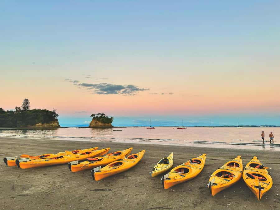 Auckland: Night Kayak Tour in Glowing Bioluminescent Waters - Starlight above, Sea Sparkle below