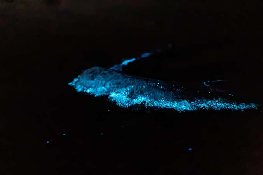 Auckland: Night Kayak Tour in Glowing Bioluminescent Waters - What the break adds to the evening