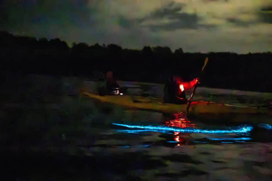 Auckland: Night Kayak Tour in Glowing Bioluminescent Waters - Equipment, lights, and personal comfort