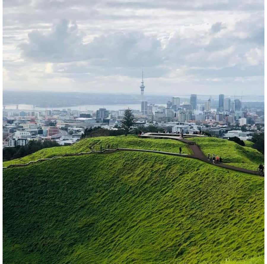 Auckland: Piha Beach, Rainforest, & Mount Eden Private Tour - A rainforest walk among kauri and nikau palms