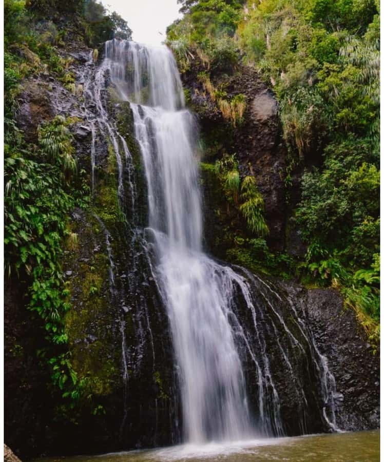 Auckland: Piha Beach, Rainforest, & Mount Eden Private Tour - Returning to Auckland and climbing Mount Eden