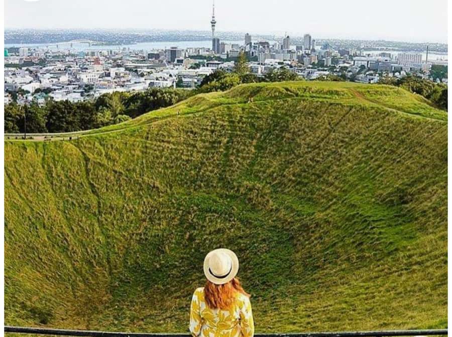 Auckland: Piha Beach, Rainforest, & Mount Eden Private Tour - What $262 per person gets you