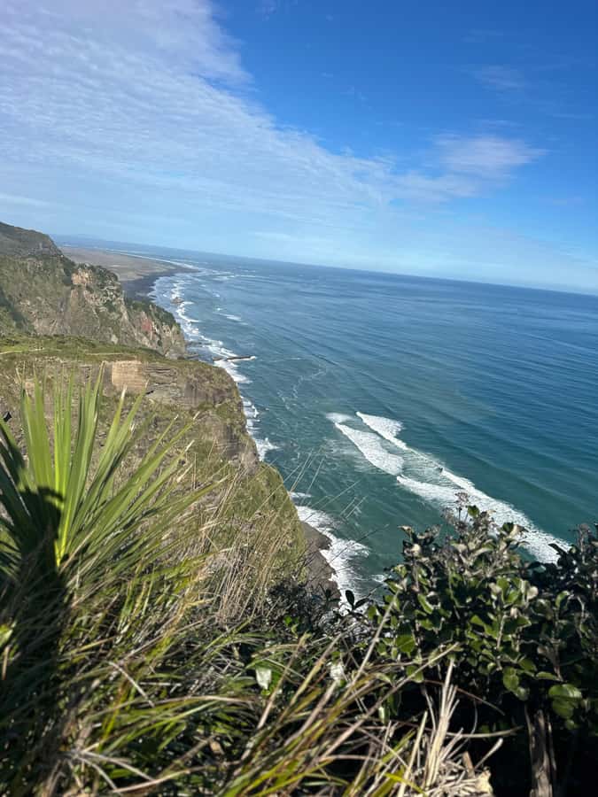 Auckland: Piha Beach, Rainforest, & Mount Eden Private Tour - Is this Auckland tour worth booking?