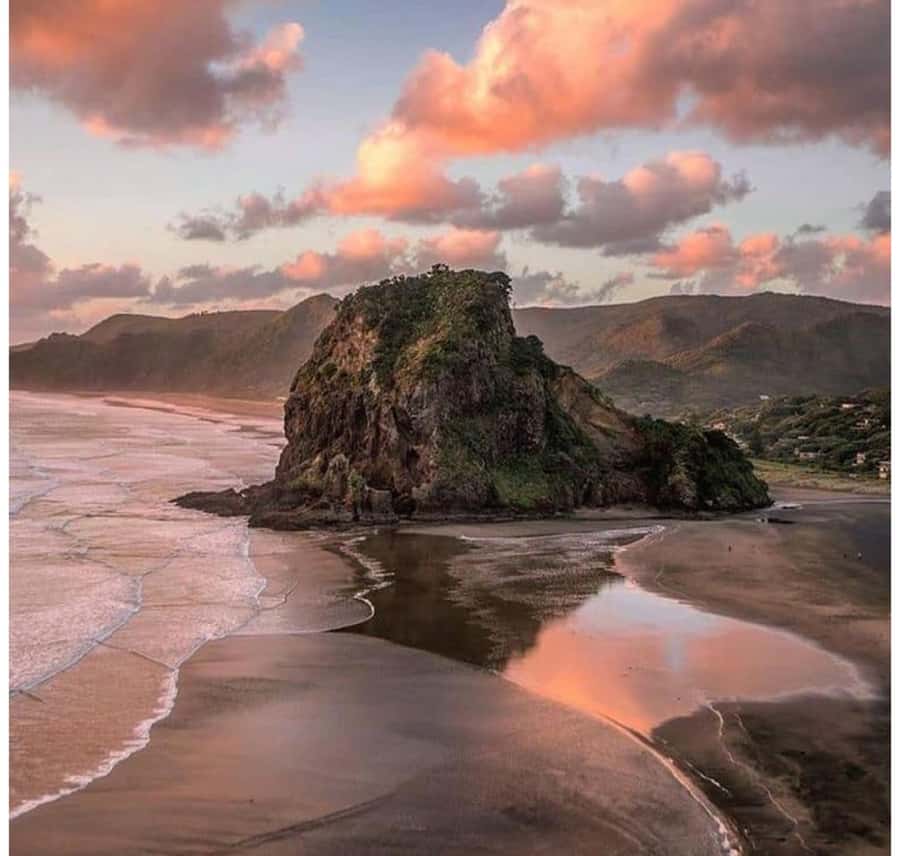 Auckland: Piha Beach, Rainforest, & Mount Eden Private Tour - Arataki Visitor Centre and Māori stories
