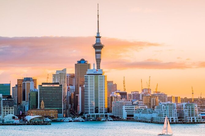 Auckland Private Custom Walking Tour with A Guide (Private Tour) - A private way to get your Auckland bearings