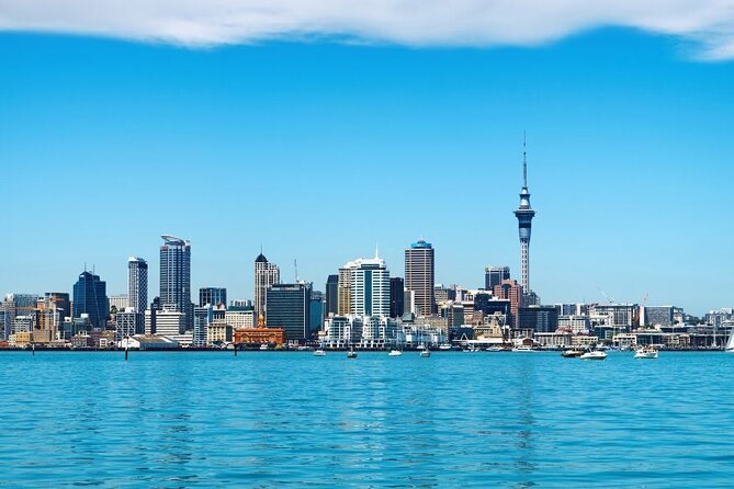 Auckland Private Custom Walking Tour with A Guide (Private Tour) - What the guides add to the day