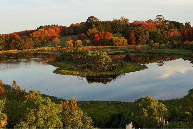 Auckland Private Custom Walking Tour with A Guide (Private Tour) - Who should book this Auckland walk