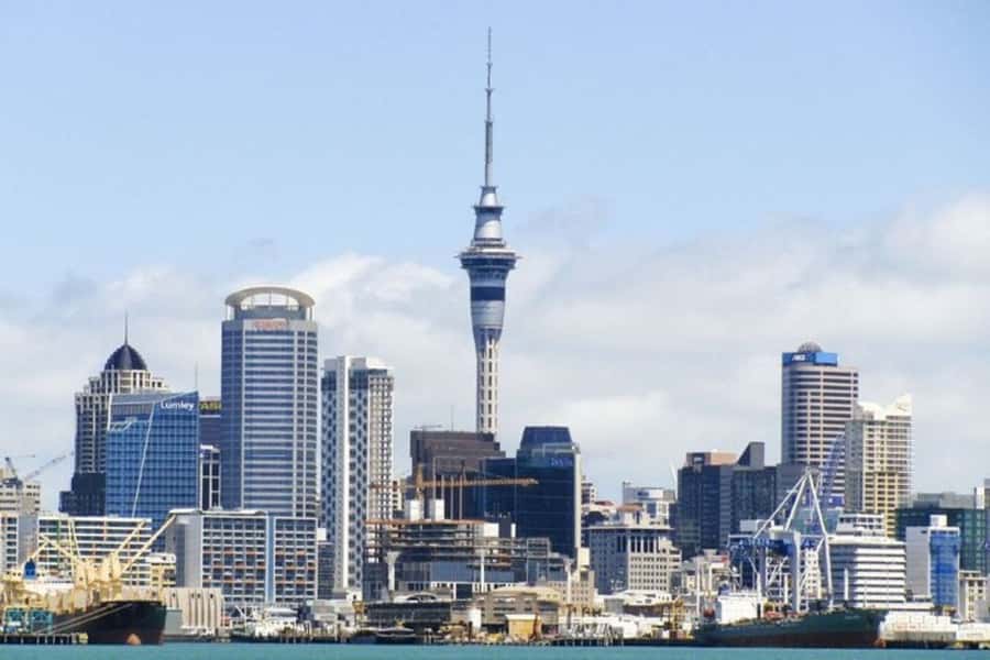Auckland: Private Customizable Walking Tour with Local Guide - A private Auckland introduction shaped around you