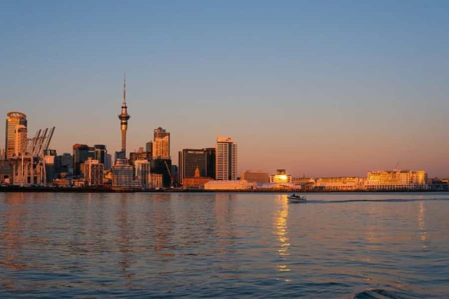 Auckland: Private Customizable Walking Tour with Local Guide - Using public transport to cover more ground