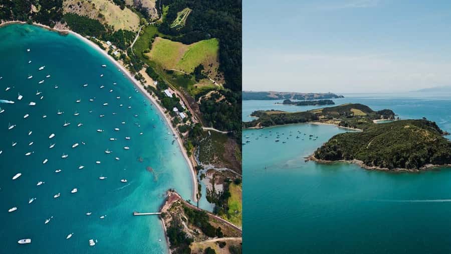 Auckland: Rotoroa Island and Man O'War Vineyard Combo Tour - Man O’ War: wine beside the water