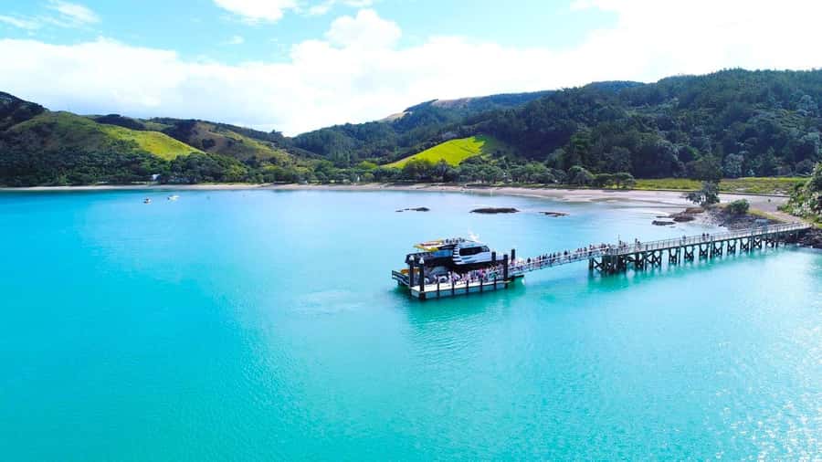 Auckland: Rotoroa Island and Man O'War Vineyard Combo Tour - Weekday and weekend schedules are different