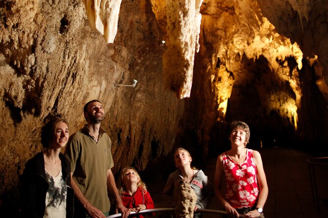 Auckland: Rotorua Māori Village, Waitomo Caves & Lunch - Who will enjoy this most?