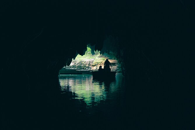 Auckland: Rotorua Māori Village, Waitomo Caves & Lunch - Should you book the Rotorua and Waitomo day trip?