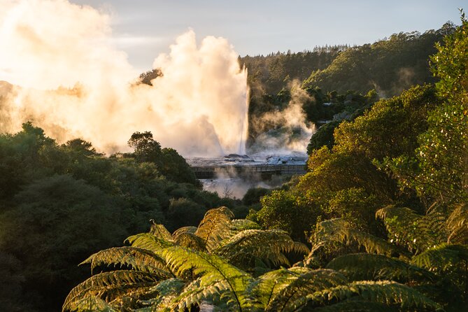 Auckland: Rotorua Te Puia with Haka & Polynesian Spa Small Group - Is $245.13 good value?