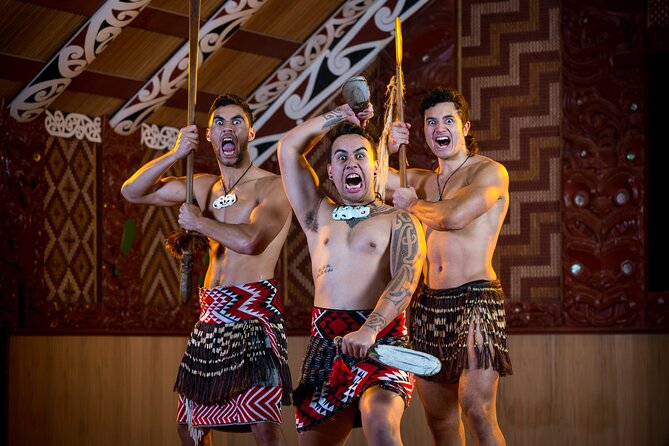 Auckland: Rotorua Te Puia with Haka & Polynesian Spa Small Group - Who should book this Auckland to Rotorua tour?