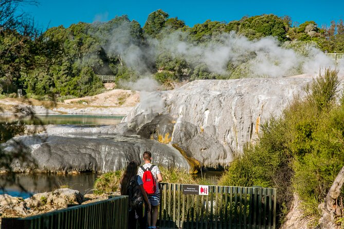 Auckland: Rotorua Tour with Waiotapu, Te Puia and Maori Haka - Te Puia combines geysers, arts, and haka