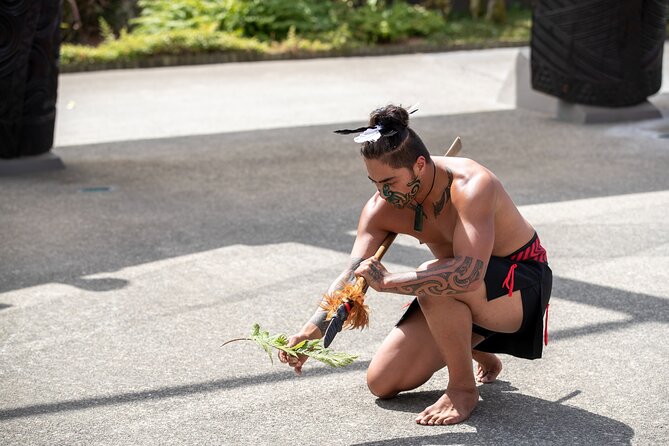 Auckland: Rotorua Tour with Waiotapu, Te Puia and Maori Haka - Is $245.13 good value?