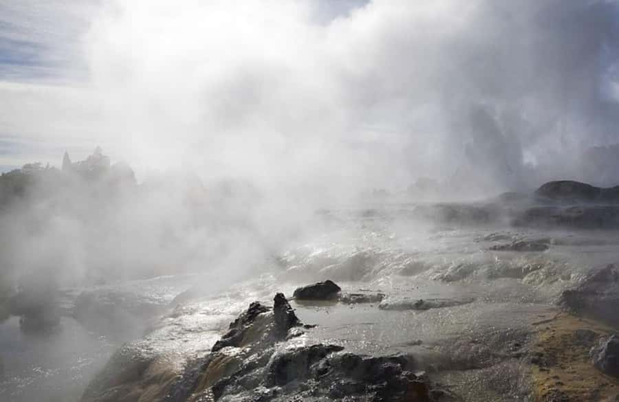 Auckland: Rotorua Wai-O-Tapu & Activity Combinations - Pickup details that can save your morning