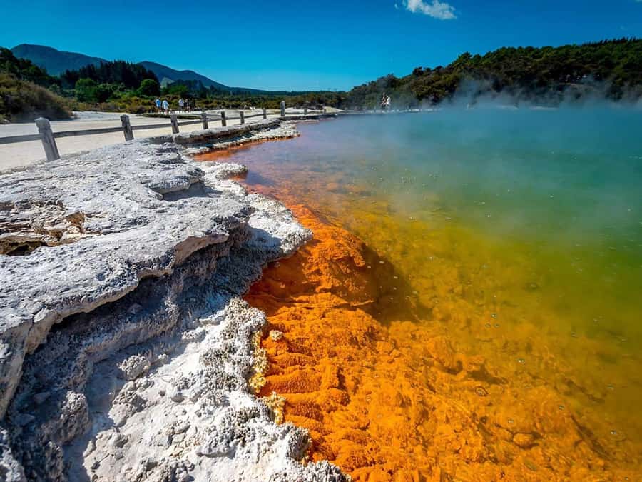 Auckland: Rotorua Wai-O-Tapu, Te Puia with Haka - Why this Auckland to Rotorua day trip works