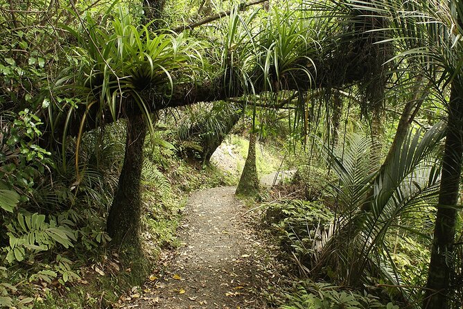 Auckland's Wild West Coast & Black Sand Beaches Tour inc Lunch - North Head and Devonport’s harbour views