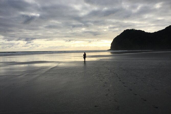 Auckland's Wild West Coast & Black Sand Beaches Tour inc Lunch - What the $108.60 price really covers