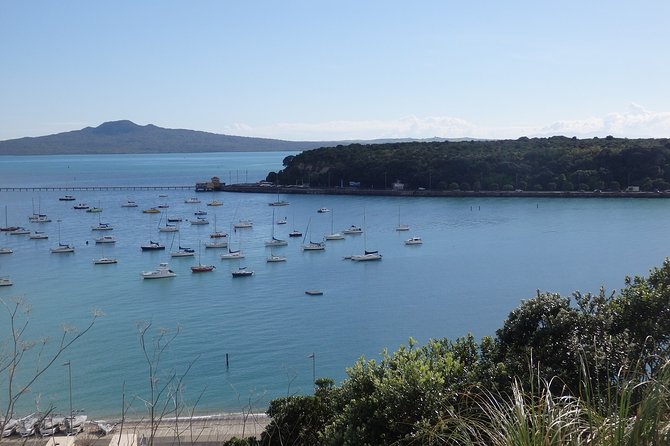 Auckland Scenic Day Tour Full-Day- 8 HOURS - Achilles Point and the eastern harbor road