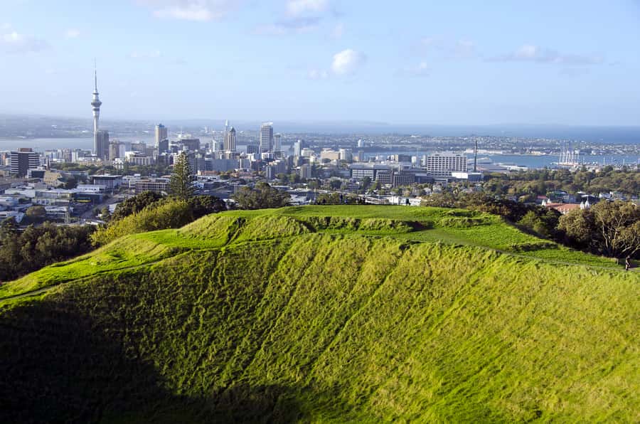 Auckland Scenic Half-Day City Sightseeing Tour - Key points at a glance