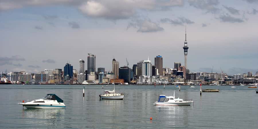 Auckland Scenic Half-Day City Sightseeing Tour - Why this four-hour route works for Auckland