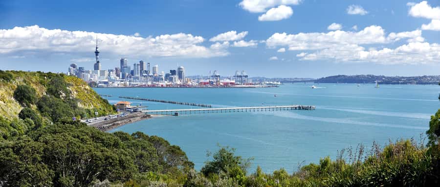 Auckland Scenic Half-Day City Sightseeing Tour - Achilles Point above the Hauraki Gulf