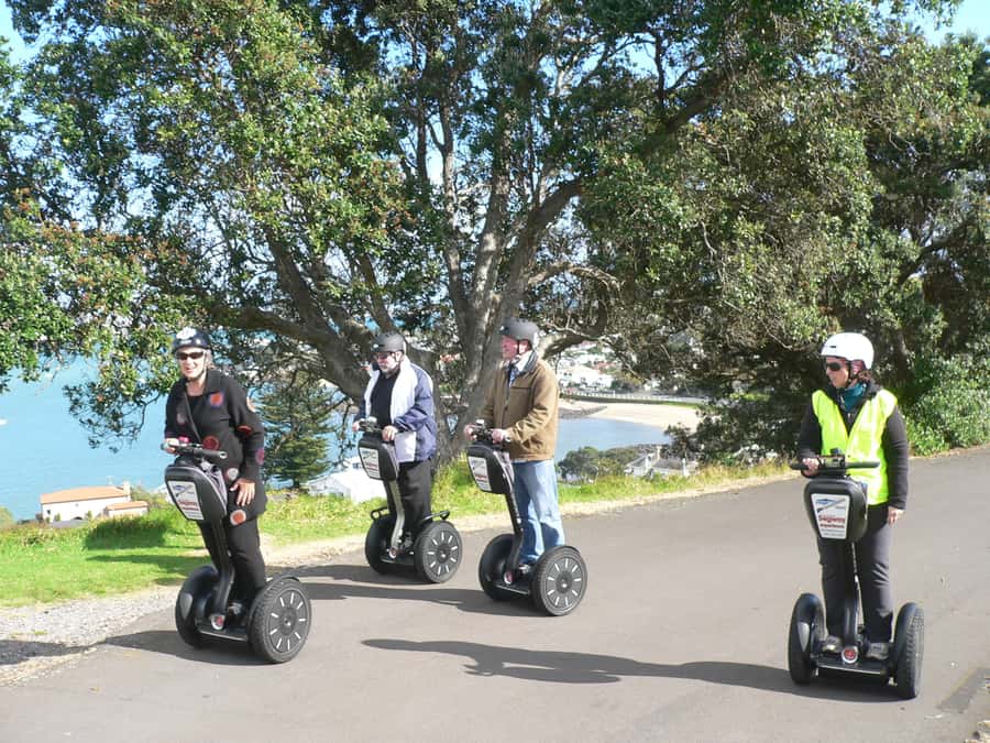 Auckland: Segway to North Head Volcano Summit - What the strong feedback tells you