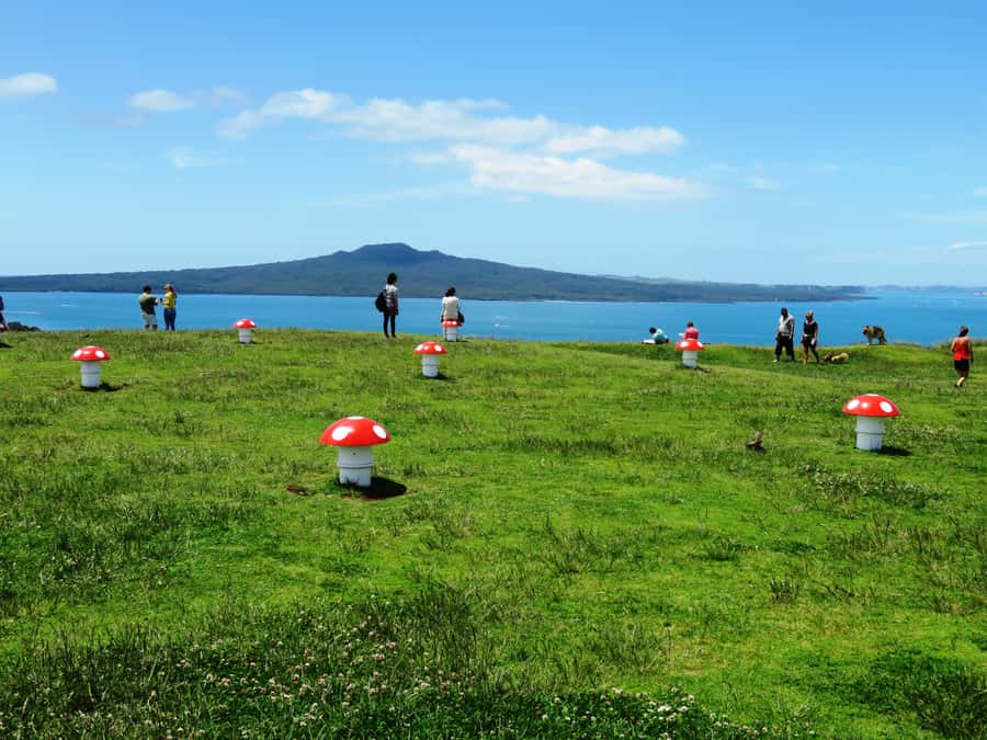 Auckland: Segway Tour to Mount Victoria - Learning the Segway before the town ride