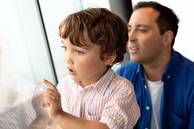 Auckland Sky Tower General Admission Ticket - Best views of the harbor, volcanoes, and islands