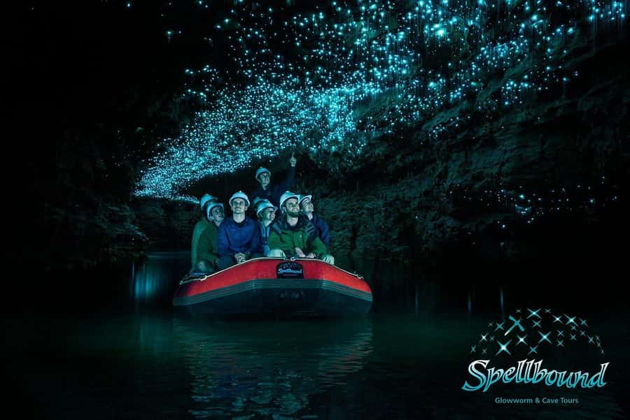 Auckland: Spellbound Glowworm Caves Explorer Tour - Key points to know before booking