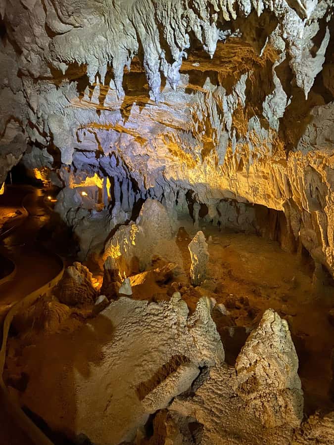 Auckland: Spellbound Glowworm Caves Explorer Tour - Is $194 a fair price?