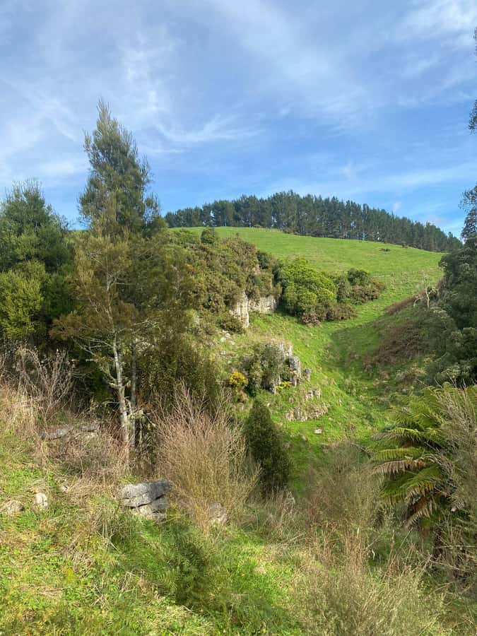 Auckland: Spellbound Glowworm Caves Explorer Tour - Who should book this Auckland day trip?