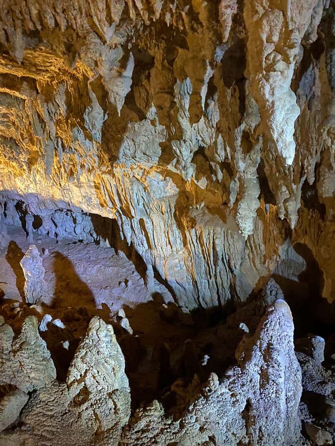 Auckland: Spellbound Glowworm Caves Explorer Tour - The road from Auckland to the King Country